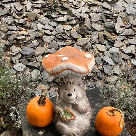 La Milardiere D'hotes 特镇