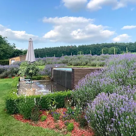 住宿加早餐酒店 La Milardiere D'hotes 4*