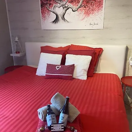 La Milardiere D'hotes 4* 特镇